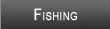 Kerr Reservoir Fishing
